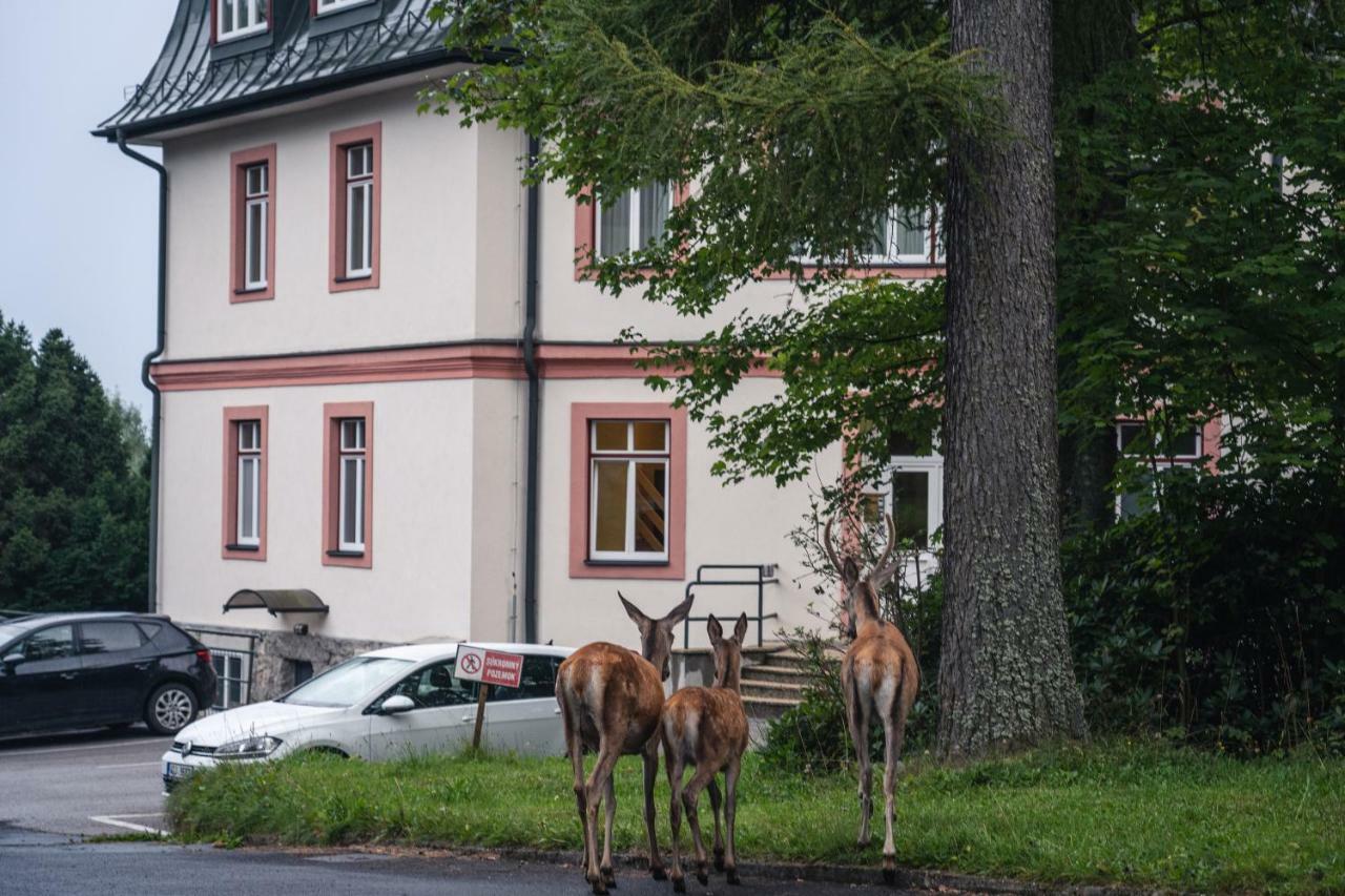 Tatrystay Apartmany Lomnica Tatranská Lomnica Eksteriør bilde